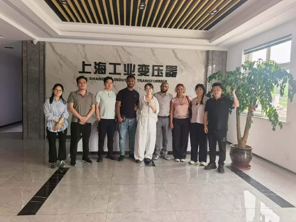 Calorosas boas-vindas! Delegação da Etiópia visita Shanghai Industrial Transformer Co., Ltd. para troca de transformadores e equipamentos de distribuição de energia